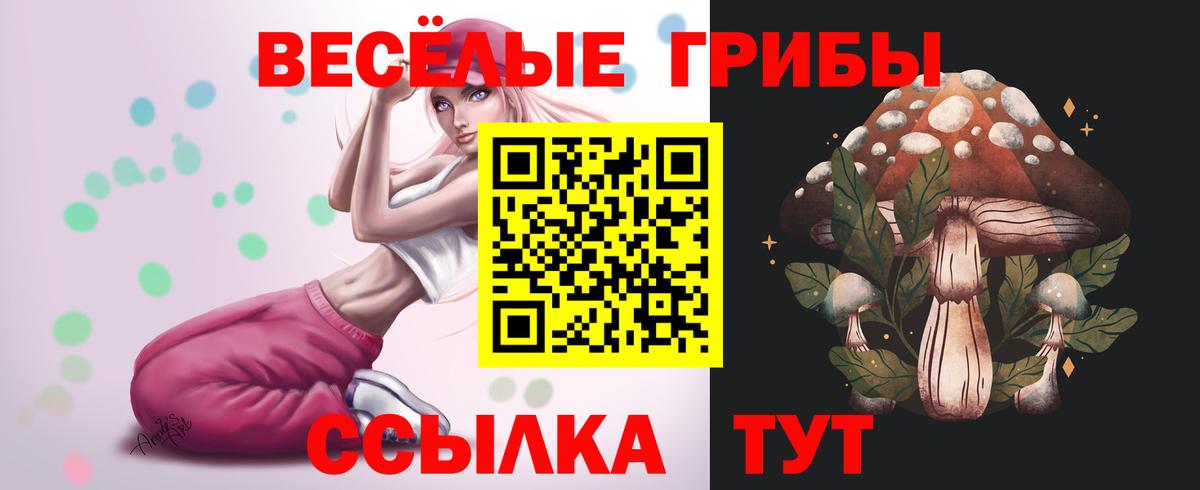 Псилоцибиновые грибы Magic Shrooms Соликамск